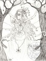 Encounter IV